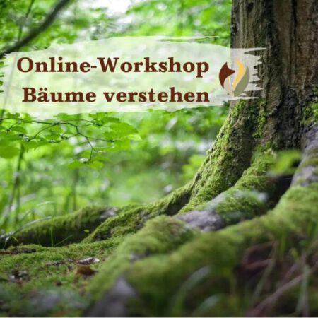 Online: Bäume verstehen (13.05.2025)