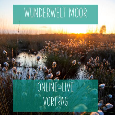 Online: Wunderwelt Moor (16.09.2025)