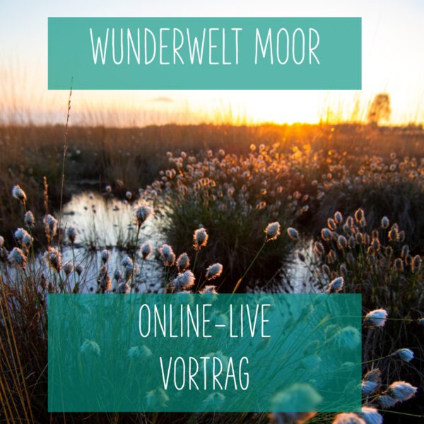 Online: Wunderwelt Moor (16.09.2025)