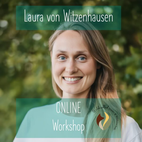 Online: Vogelsprache verstehen (29.04.2025) – Bild 2