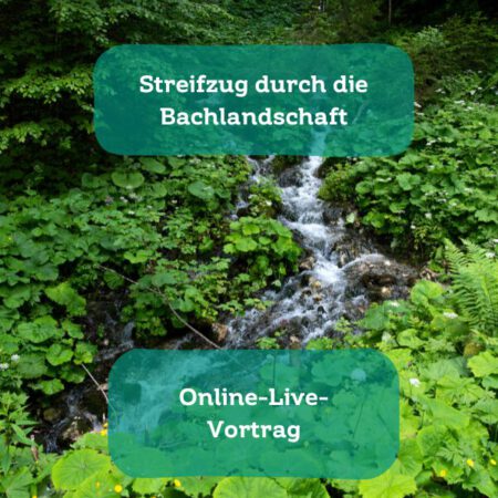 Online: Streifzug durch die Bachlandschaft (20.05.2025)