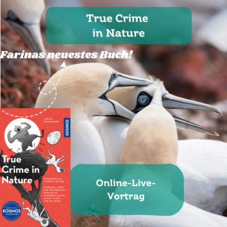 Online: True Crime in Nature (01.07.2025)