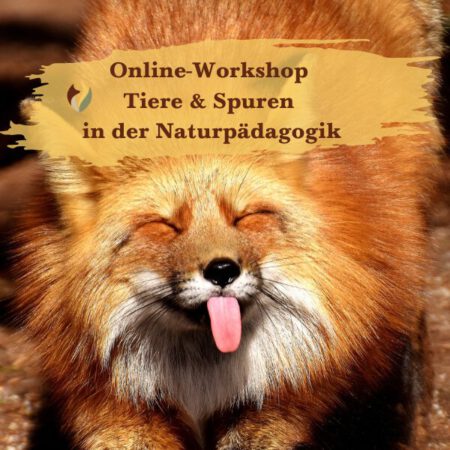 Online: Tiere & Spuren in der Naturpädagogik (26.08.2025)