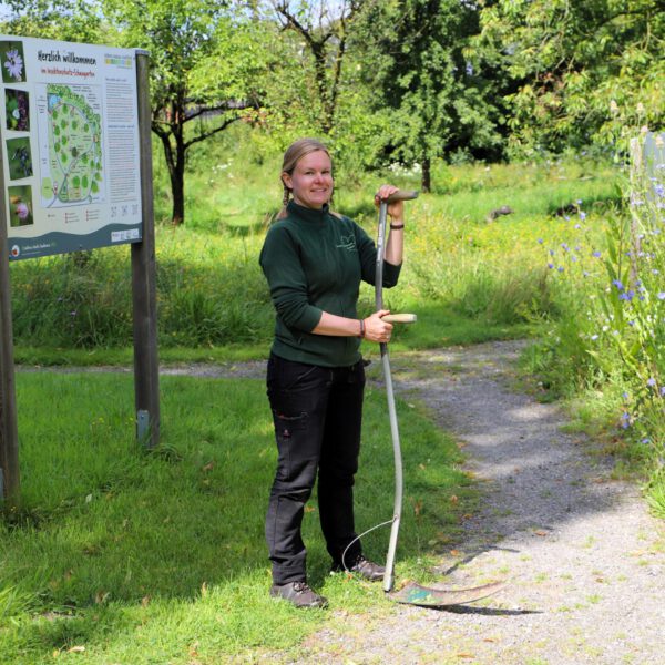 Vor-Ort: „Kleine Gartenrunde“ durch den Insektenschutz-Schaugarten (08.05.2025) – Bild 2