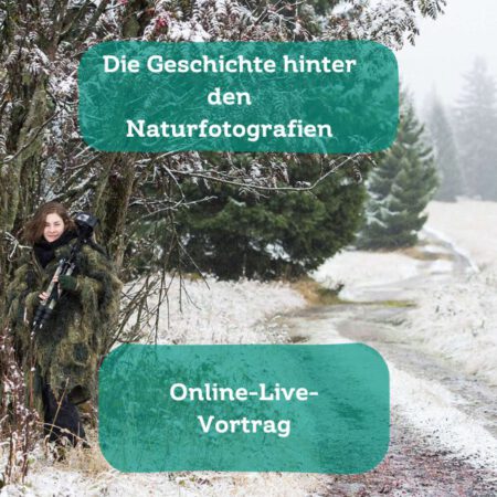 Online: Die Geschichte hinter den Naturfotografien - ein Blick hinter meine Kamera (02.09.2025)