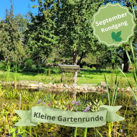 Vor-Ort: „Kleine Gartenrunde“ durch den Insektenschutz-Schaugarten (04.09.2025)
