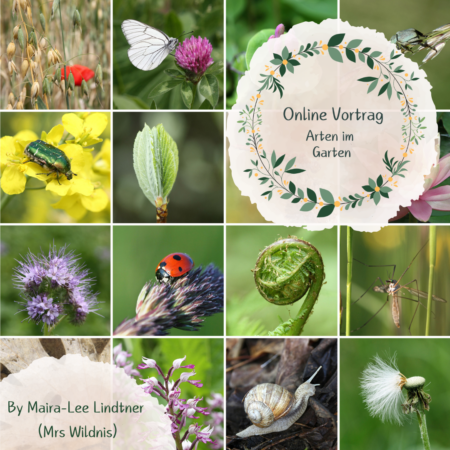 Online: Arten im Garten (03.05.2025)